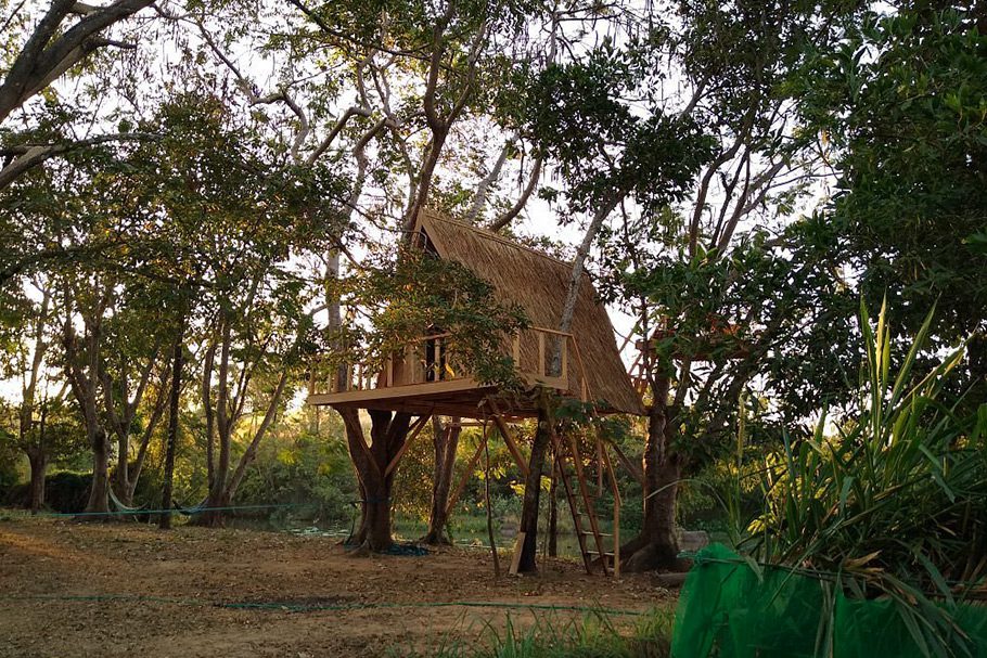 Cabane Arbre Fandee Island Boucle De Pakse